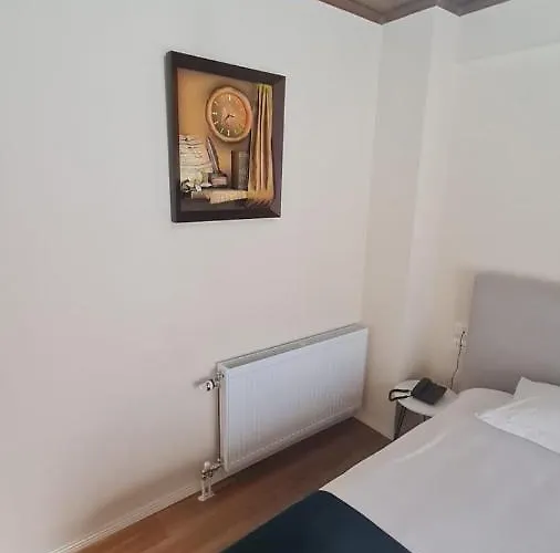 Bujtina 31