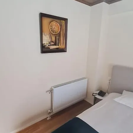 Bujtina 31